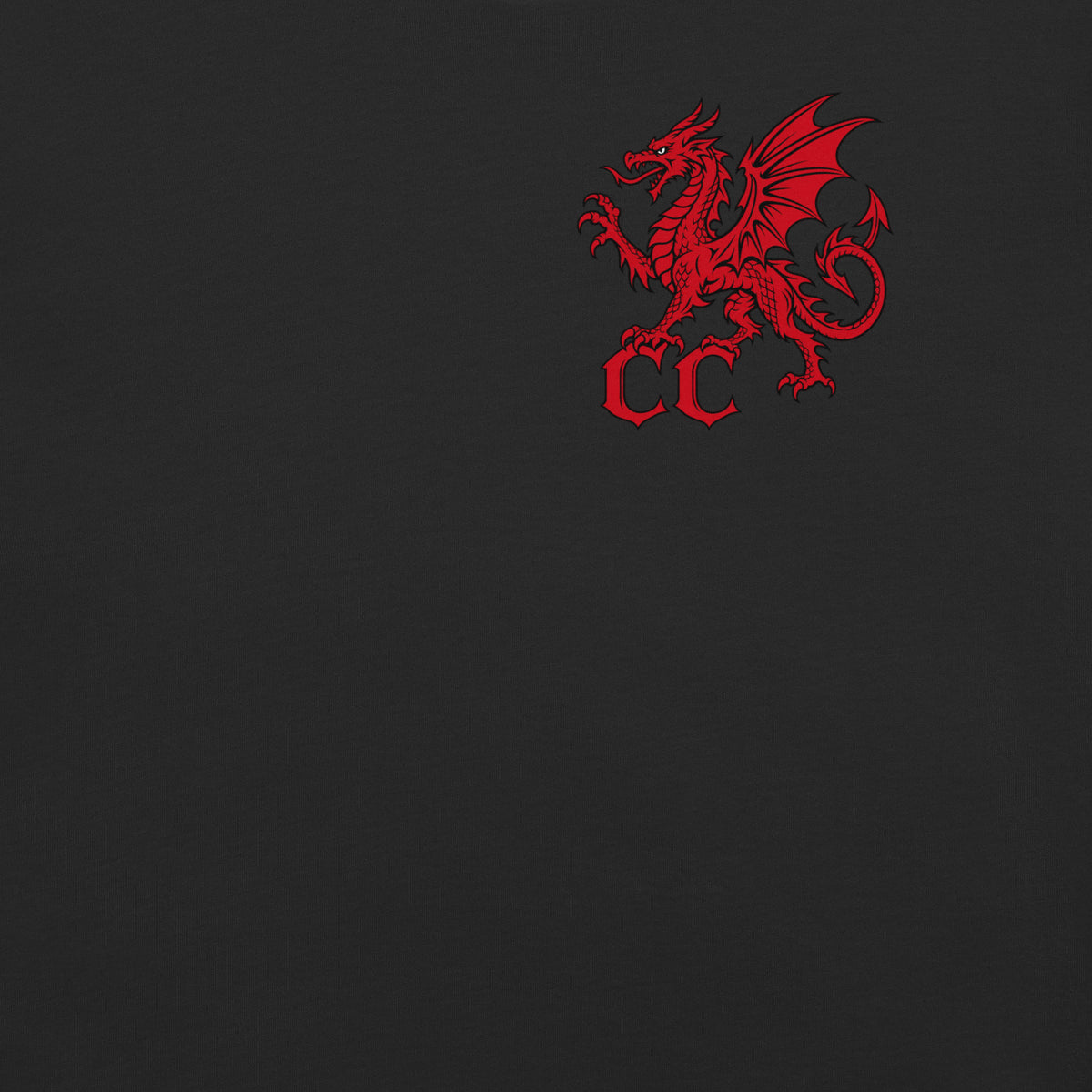 Front view of Pontarfynach black heavyweight T-shirt in the Corrupt Couture Welsh Legends collection